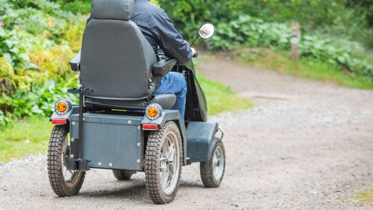 Visitor exploring the gardens in a tramper